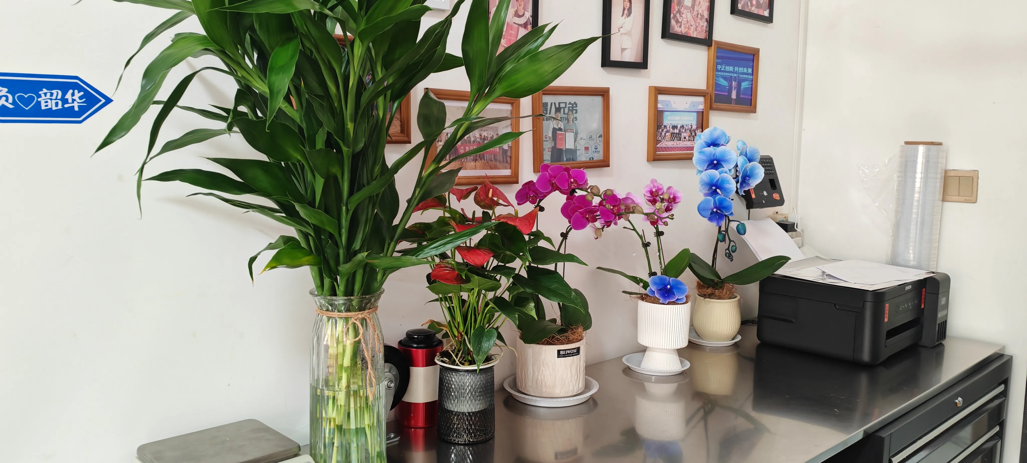 Üdvözöljük JOJO Pack új barátait!