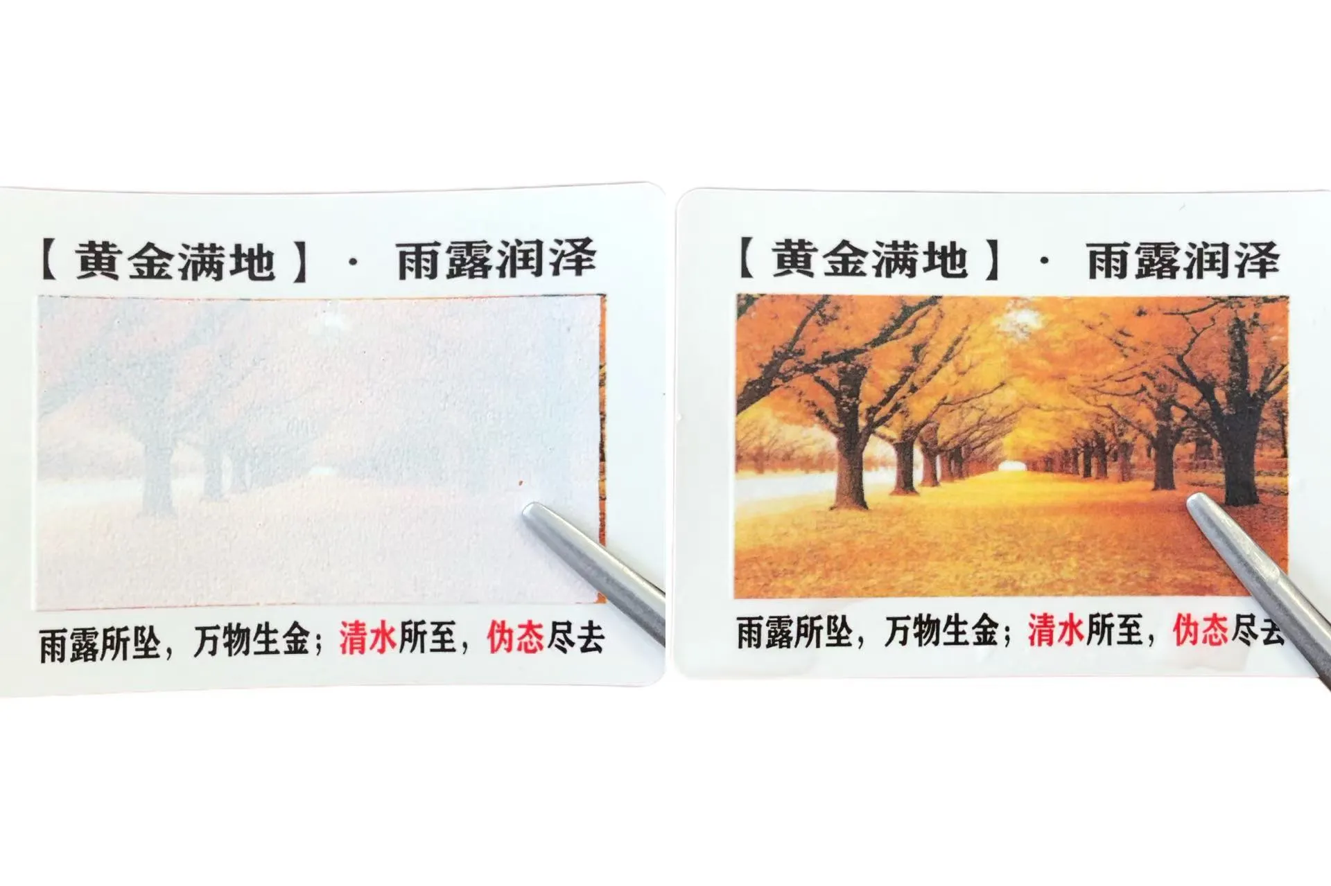 Ismeri a színváltozásra érzékeny címkéket?