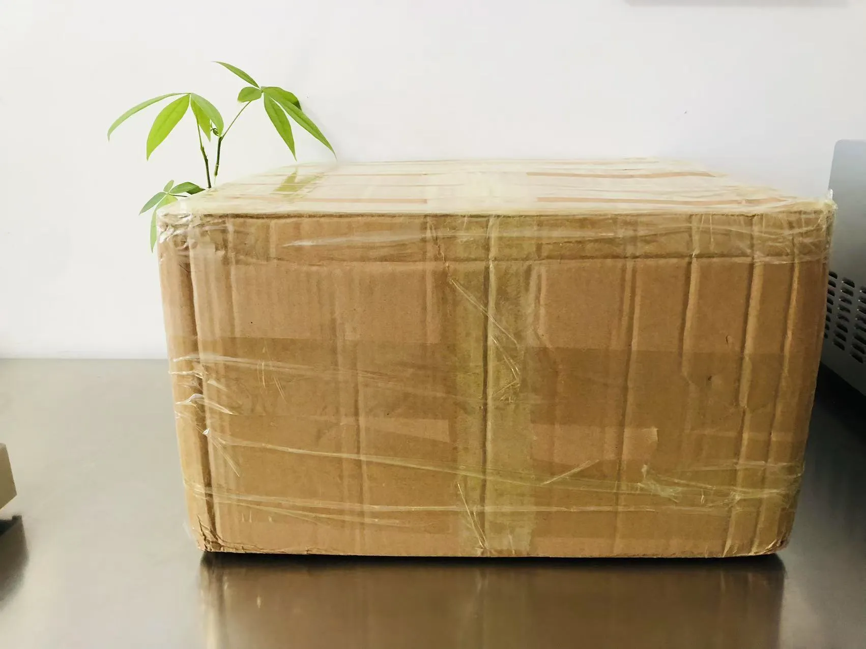 Rajzfilm szilárd epoxi matricák most úton vannak Japánba